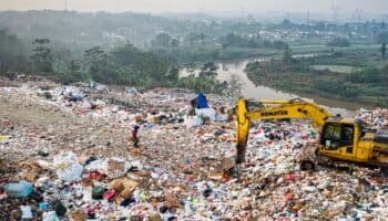 Desperdiciar alimentos incrementa crisis climática: Páez | Video