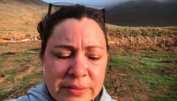 Maquinaria aplasta y mata a animales al destruir albergue en BC