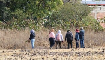 Investiga FGR hallazgo de 40 cadáveres en Michoacán