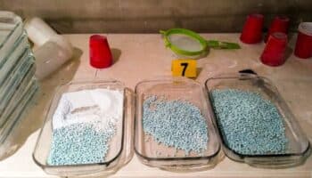 EU sanciona a 14 empresas chinas coludidas con cárteles mexicanos para producir fentanilo: Esquivel