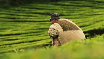 Revisión del TLCAN-TMEC e ingreso al BRICS: Alberto Vizcarra