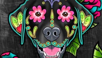 Ya casi llega el día de las mascotas difuntas; esto necesitas para la ofrenda