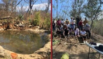 Alertan sobre daños al Cerro del Fortín para construir viviendas; es uno de los pulmones de los valles de Oaxaca