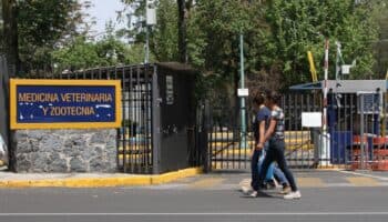 Facultad de Veterinaria de UNAM suspende clases por chinches