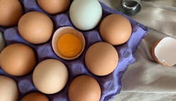 ¿Qué beneficios tiene el huevo en el desayuno?