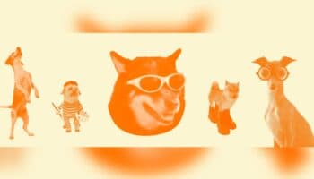 #ArteyPerros, ve con tu amigo peludo al Museo Tamayo; acá te contamos