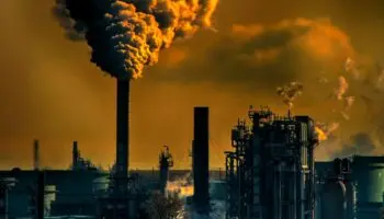 Las pérdidas por el agotamiento ambiental | Artículo