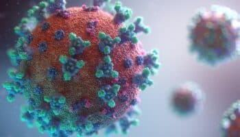 Los humanos contagiamos más virus a los animales que ellos a nosotros: estudio