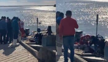 Tiburón muerde y mata a joven en Sonora