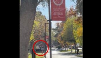 Videos | Tres muertos y un herido grave deja tiroteo en universidad de Las Vegas deja 3 muertos; sospechoso fue abatido