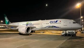 Un avión regresa a Tokio después de que un pasajero mordiera a una azafata