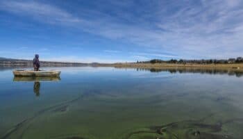 Nivel del Cutzamala supera el 70% de almacenamiento