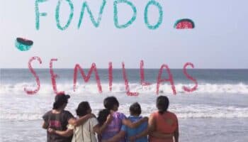 Lanzan fondo para apoyar a mujeres en reconstrucción de comunidades por huracán 'Otis'