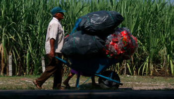 Estado de derecho y seguridad pública, las enormes tareas de los próximos gobernadores del sur-sureste: Alexa Castro