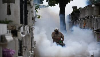 Muertes y casos de dengue se dispararon en 2023