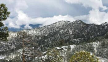 ¿En qué parte de México está el volcán Tancítaro que está ‘reviviendo’?
