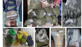 Incautan 100 kilos de marihuana en Venustiano Carranza y GAM