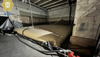 Aseguran predio en el que ordeñaban hidrocarburo en CDMX