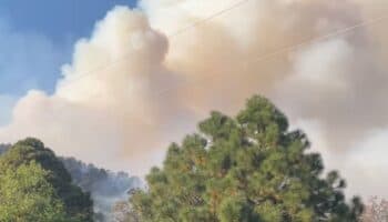 Edomex: Combate a incendio en Donato Guerra deja cuatro brigadistas muertos