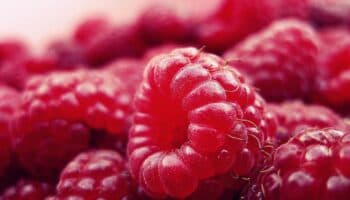 ¿Qué enfermedades ayuda a prevenir la frambuesa?