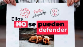 Marcha por los animales en CDMX: Ruta y horario