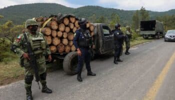 ONU alerta de la 'narcodeforestación' del Amazonas y partes de México