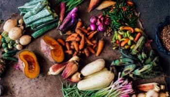 Más de 1,050 millones de toneladas de alimentos se desperdician en el mundo: ONU