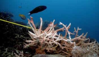 Evidencia clara de 'huella' humana en el aumento de la temperatura del mar: estudio