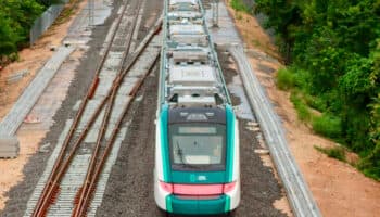 Presupuesto para combatir el cambio climático incluye proyectos como el Tren Maya: Fundar México | Video