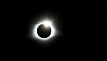 ¿Cómo afectará el eclipse solar a los animales?
