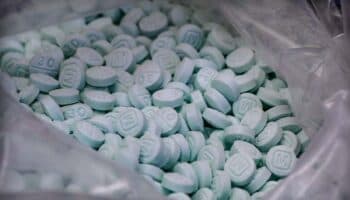 EU sanciona a ocho líderes de La Nueva Familia Michoacana por tráfico de fentanilo