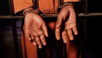 IMCP: Solo personas con poder económico y antecedentes ameritan PPO en casos fiscales | Entérate