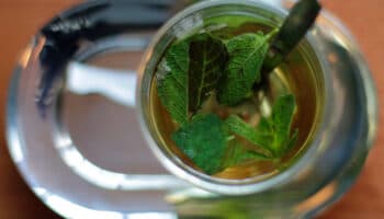 El té que te quitará la indigestión, mareos y dolores; así debes prepararlo