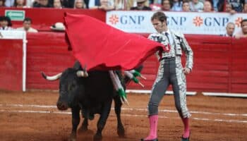Toros de lidia se extinguirán en dos años con "corridas sin sangre": Ganaderos