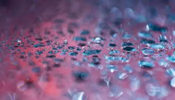 Encuentran microplásticos en testículos humanos: ¿una amenaza para la fertilidad?