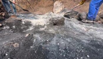 Ceci Flores responde que autoridades tienen 'necrofobia' tras peritajes que descartan crematorio y fosa clandestina en CDMX