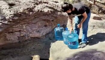 Rellenan jagüeyes secos para hidratar a animales en Nayarit