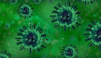 México activa protocolo sanitario por presencia de influenza aviar en una granja en Nuevo León