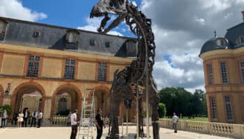 Subastan esqueleto del dinosaurio más grande a la venta en Francia