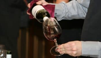 Catar vinos produce una "mayor activación y conectividad cerebral": Estudio