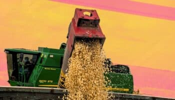 Berdegué se rinde ante los Cárteles Agro-financieros | Artículo de Alberto Vizcarra Ozuna