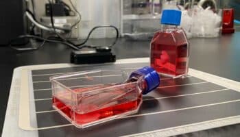 Láminas de células creadas en Japón podrían regenerar corazones con insuficiencia