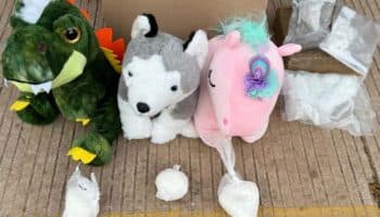 Guardia Nacional asegura droga oculta en muñecos de peluche en Sinaloa