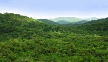 ¿Qué es el 30x30 y por qué México debe invertirle?