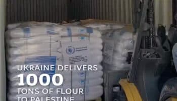 Ucrania envía mil toneladas de harina a Palestina; primero de tres embarques | Video