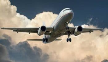 ¡No pierdas tu vuelo este verano! Consulta el estatus en el portal del AICM