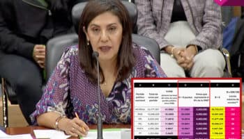 Sobrerrepresentación regala a Morena y aliados 40 curules y casi 4.5millones de votos: Consejera INE