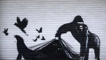 Banksy pinta un gorila frente al zoológico de Londres, su novena obra de la serie de animales