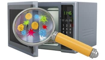 La radiación de los microondas no mata todas las bacterias, revela un estudio