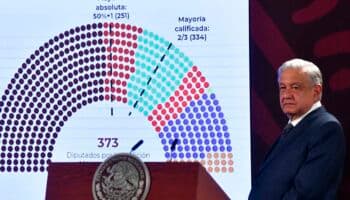 Morena, PT y PVEM se registraron como coalición y así debe ser su representación plurinominal: Michel